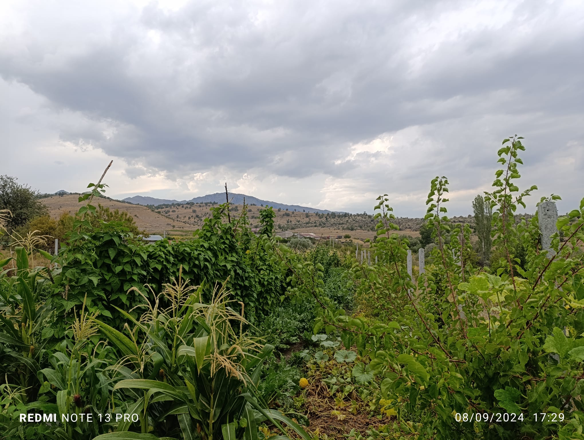 İlan Fotoğrafı